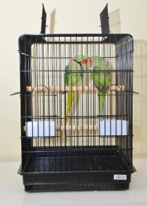 brand-new-good-size-cage birds4u.net
