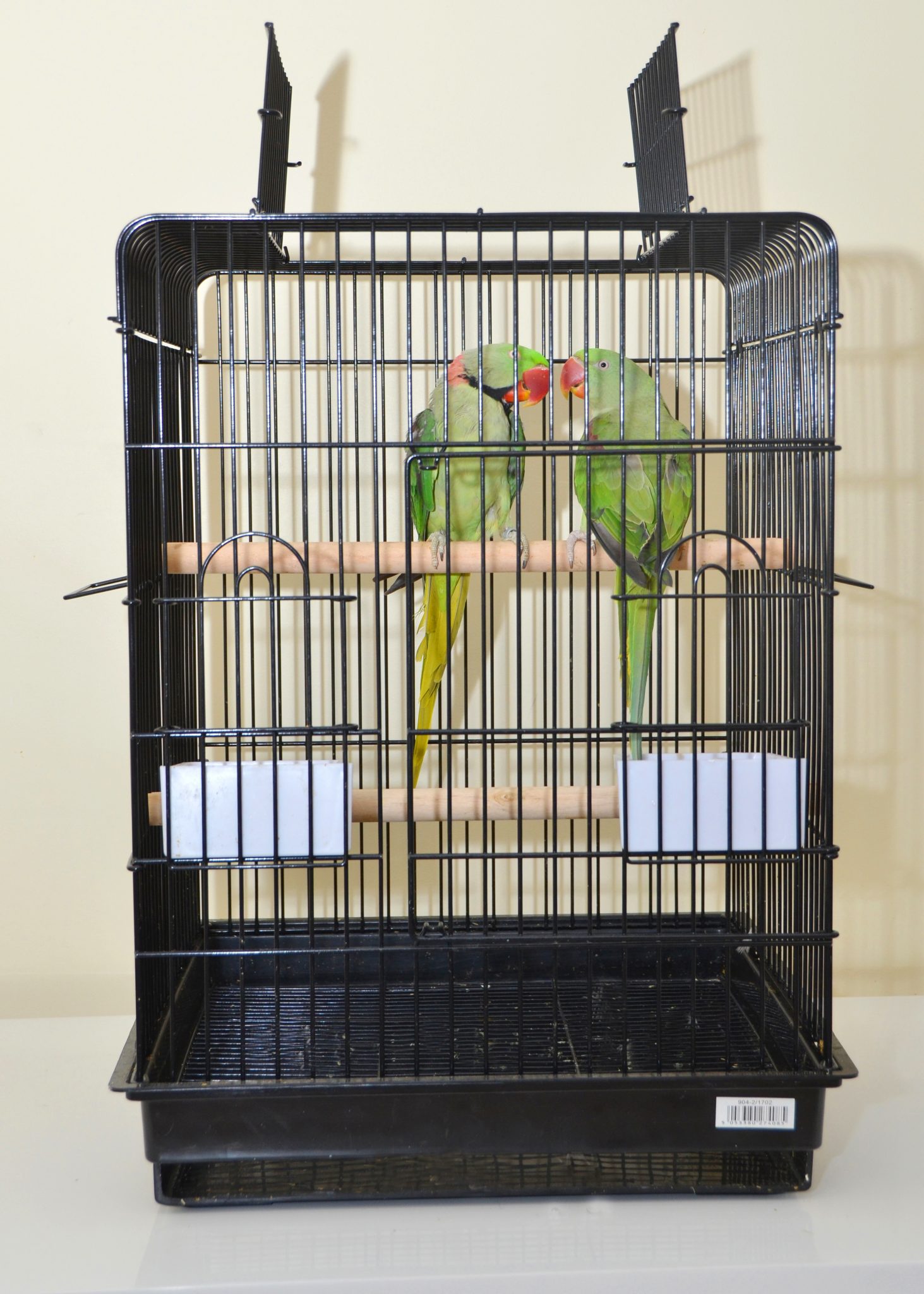 ringneck parrot cage for sale