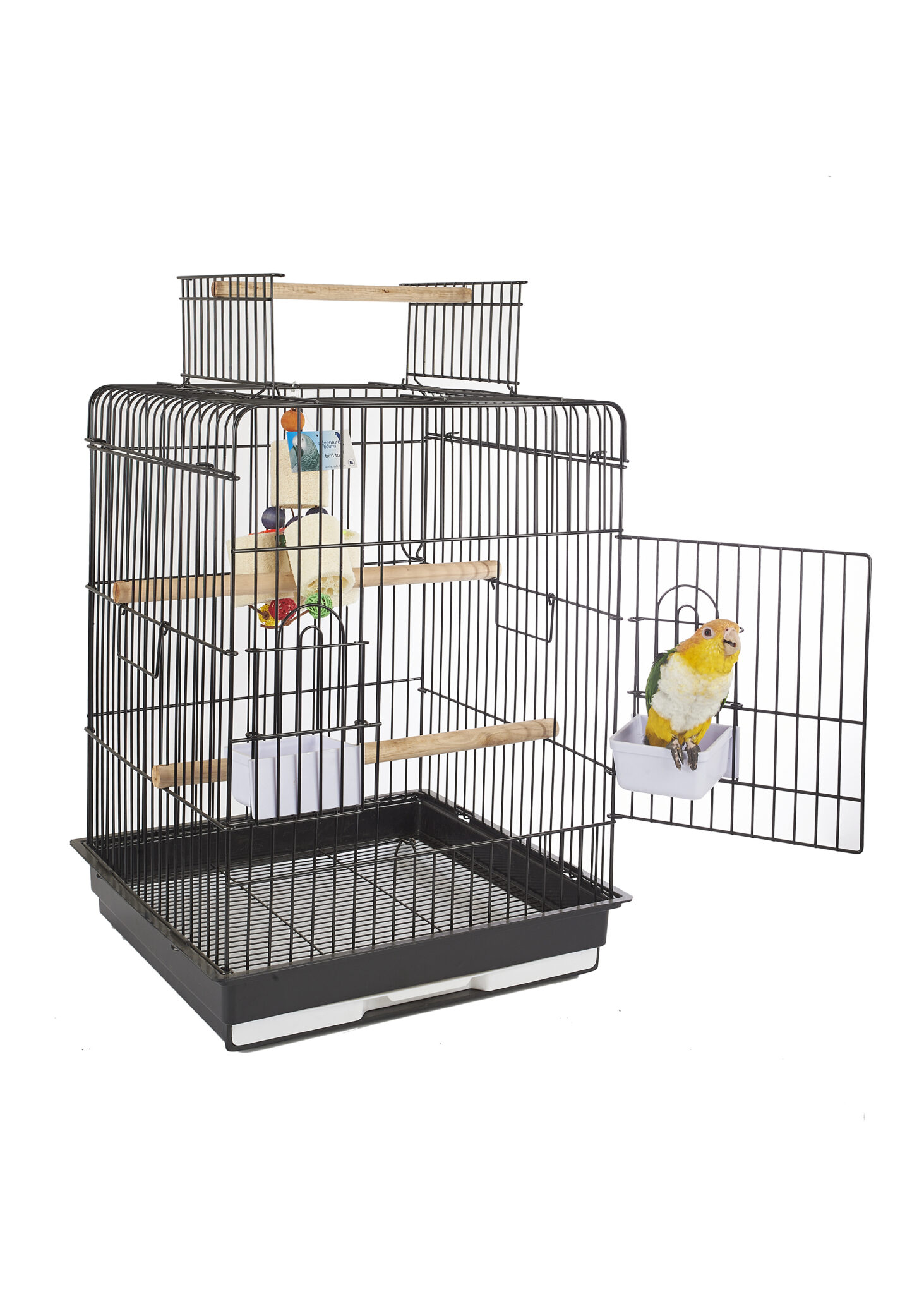 ringneck parrot cage for sale