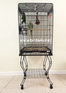 Parrot Cage