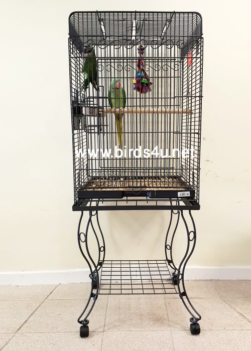 Parrot Cage