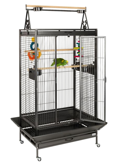 Liberta Cambridge cage