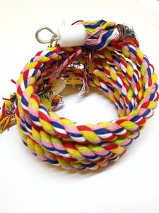 Rainbow Spiral Rope