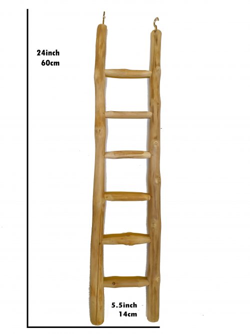 Java Ladder