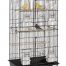 liberta lotus cage/ birds4u