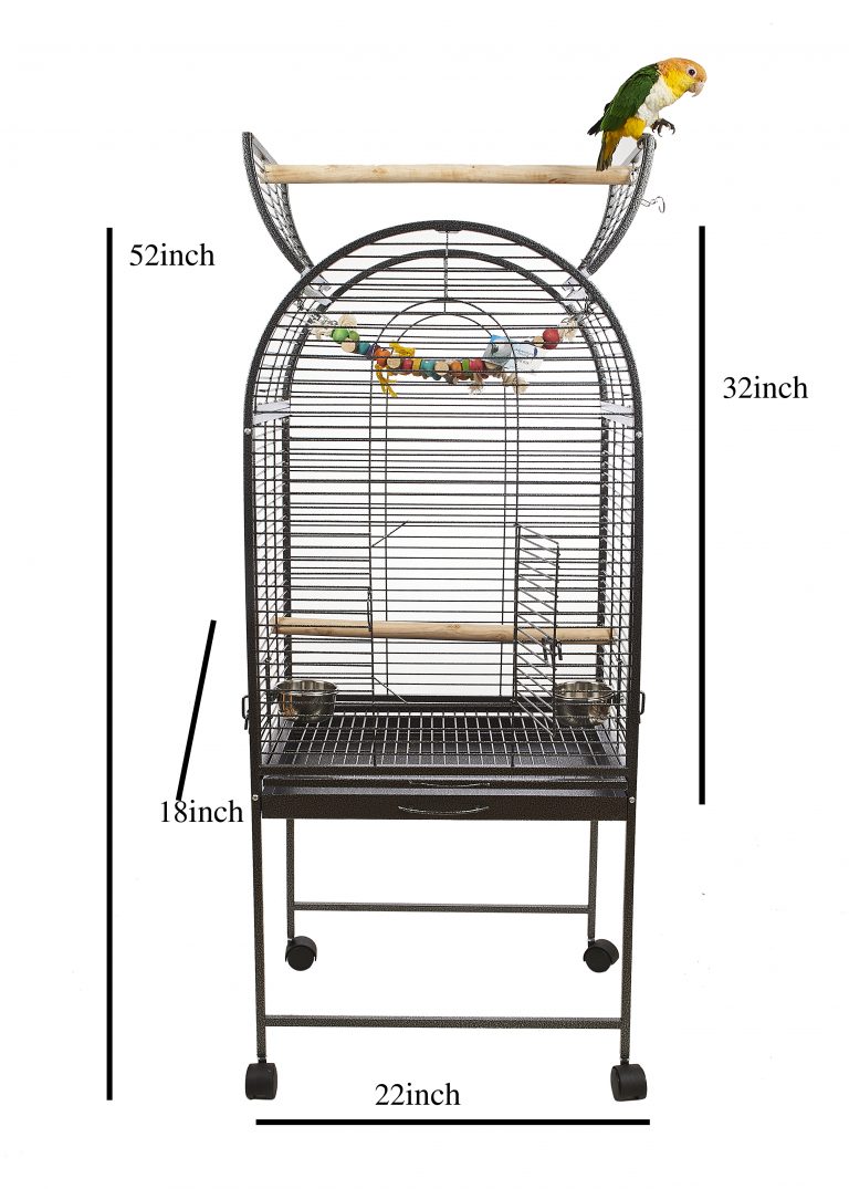 Birds & Parrot Cages Birds4U