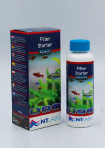 Filter Starter